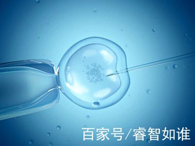 代怀服务代生医院